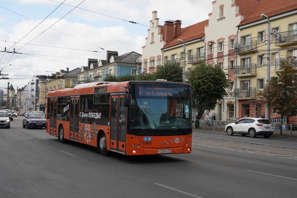 В Калининграде рассказали о работе общественного транспорта в новогодние дни