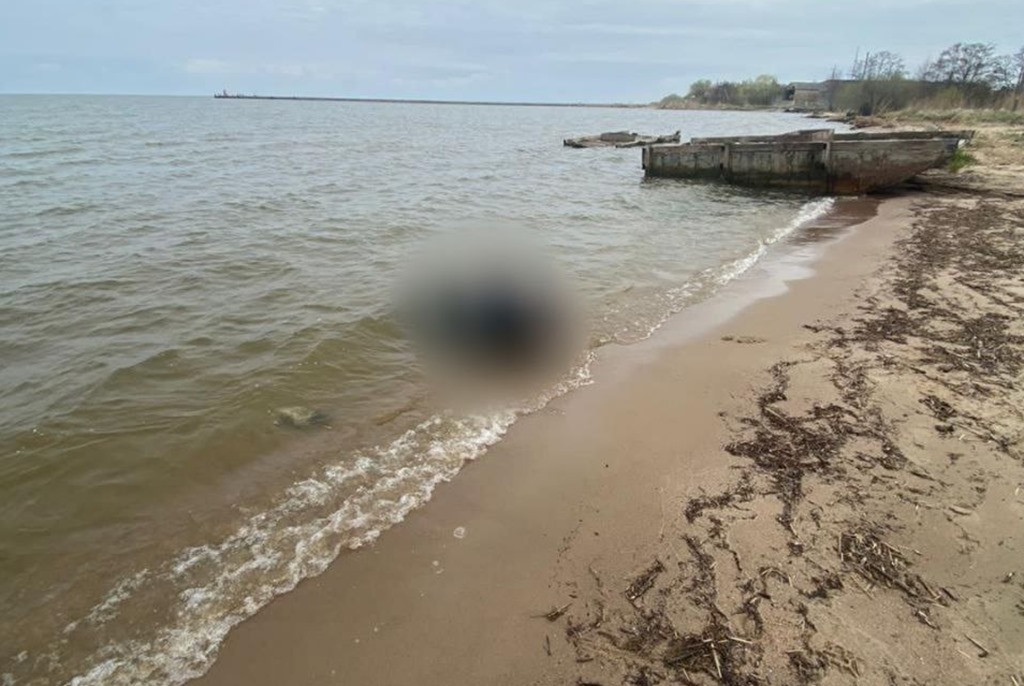 На пляж вынесло тело утонувшего рыбака