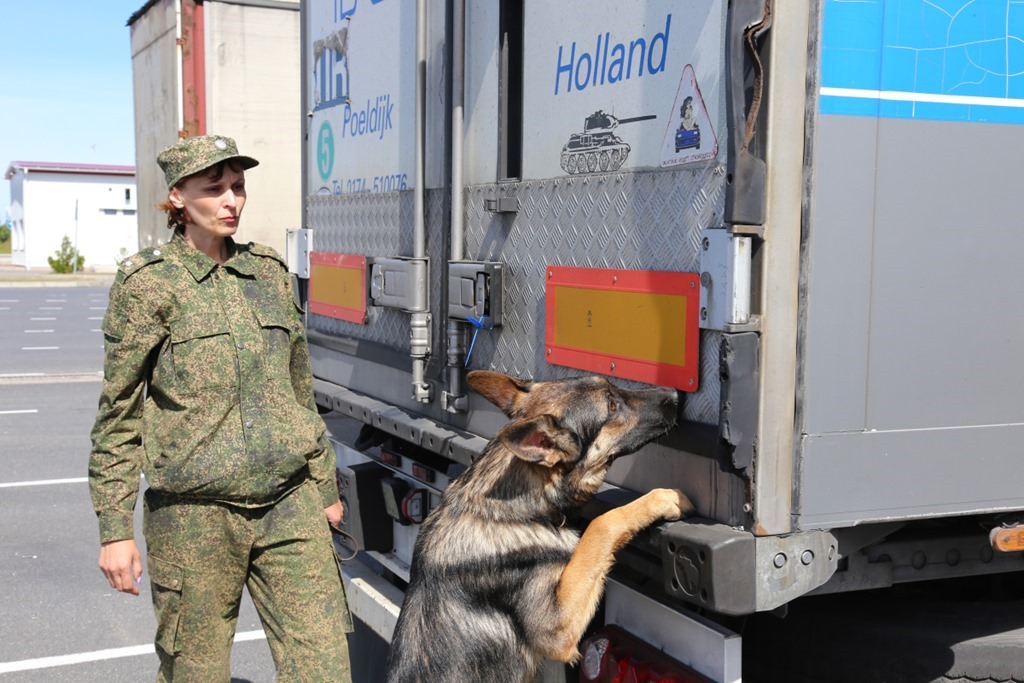 В Калининградскую область за сутки приехало более 200 грузовиков