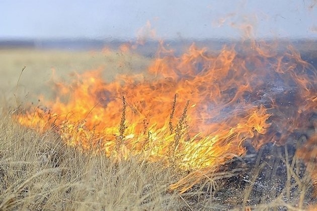 Калининградской области присвоили высший класс пожароопасности