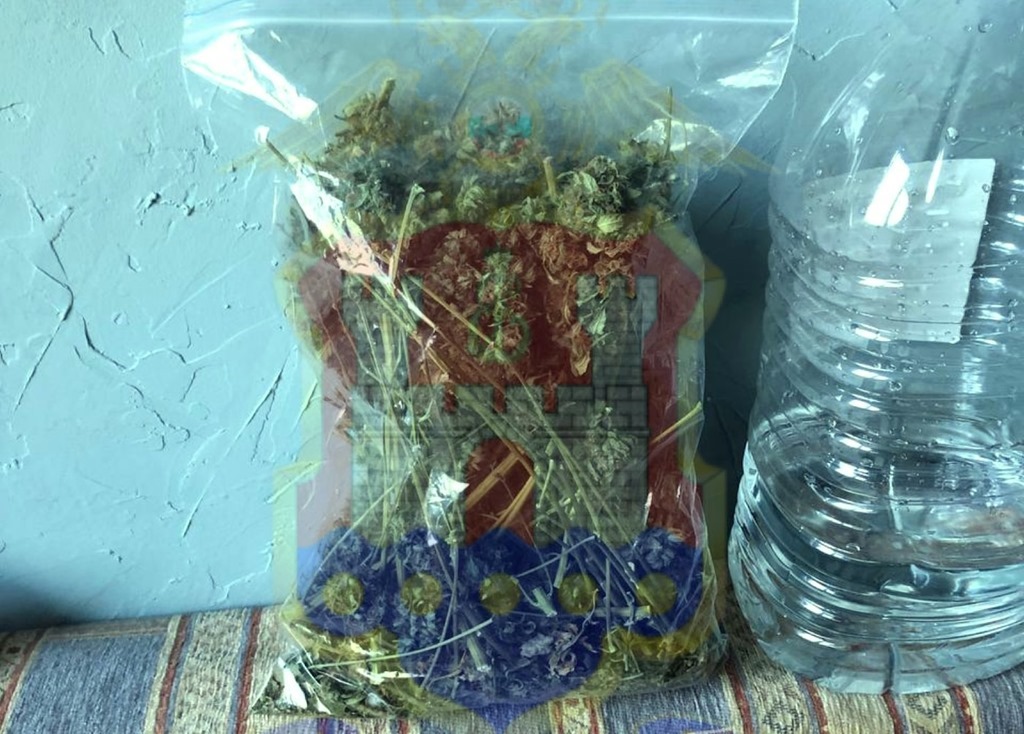 40-летний калининградец дома в специальном ящике выращивал коноплю