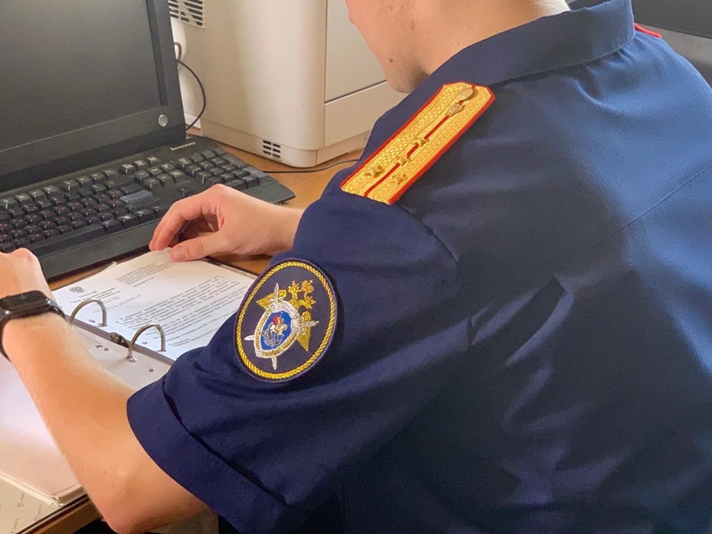 В Калининграде полицейские установили подозреваемых в краже телефона и банковской карты у прохожего