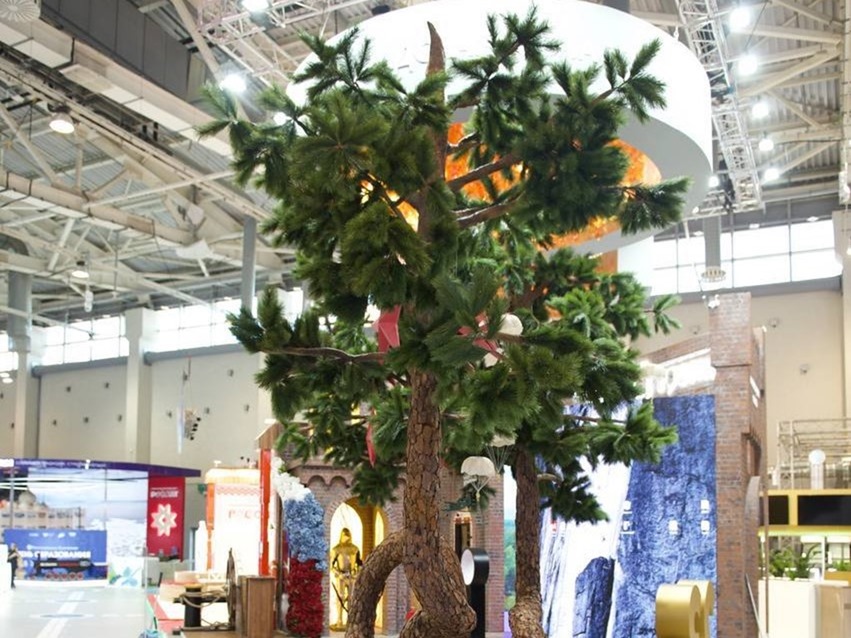 «Танцующий лес» Куршской косы появился на выставке «Россия»