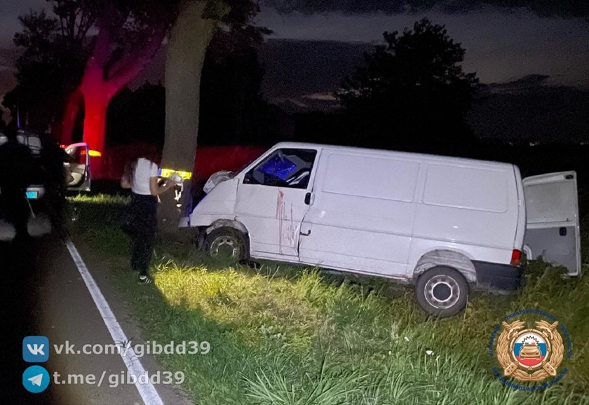 Калининградец на минивэне врезался в дерево и чудом выжил