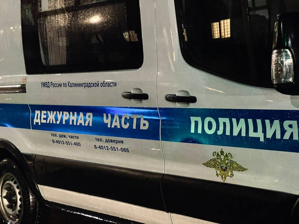 Двойной угон и поджог: в Калининграде задержаны дерзкие автоворы