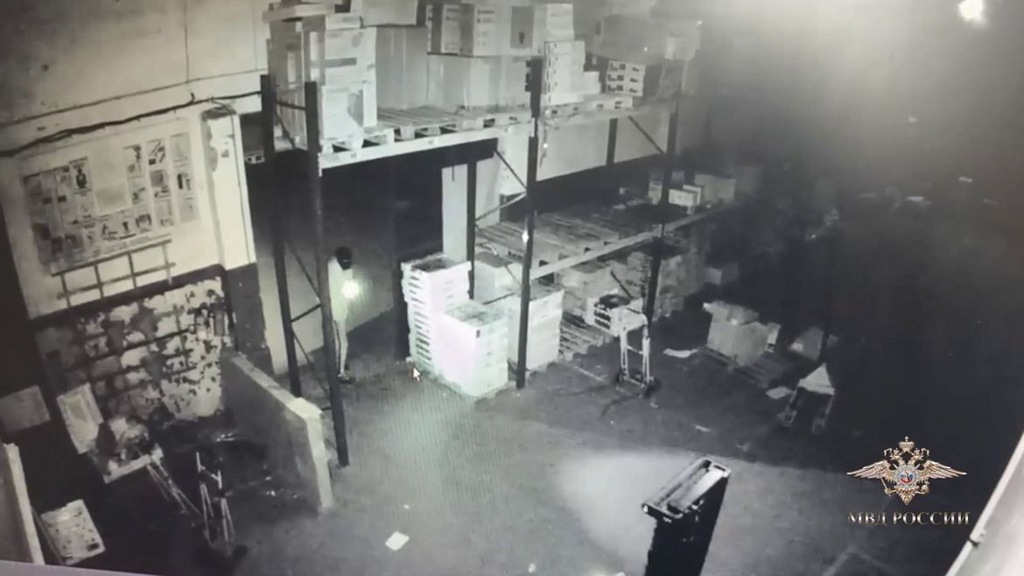 В Калининграде раскрыли крупный поджог склада