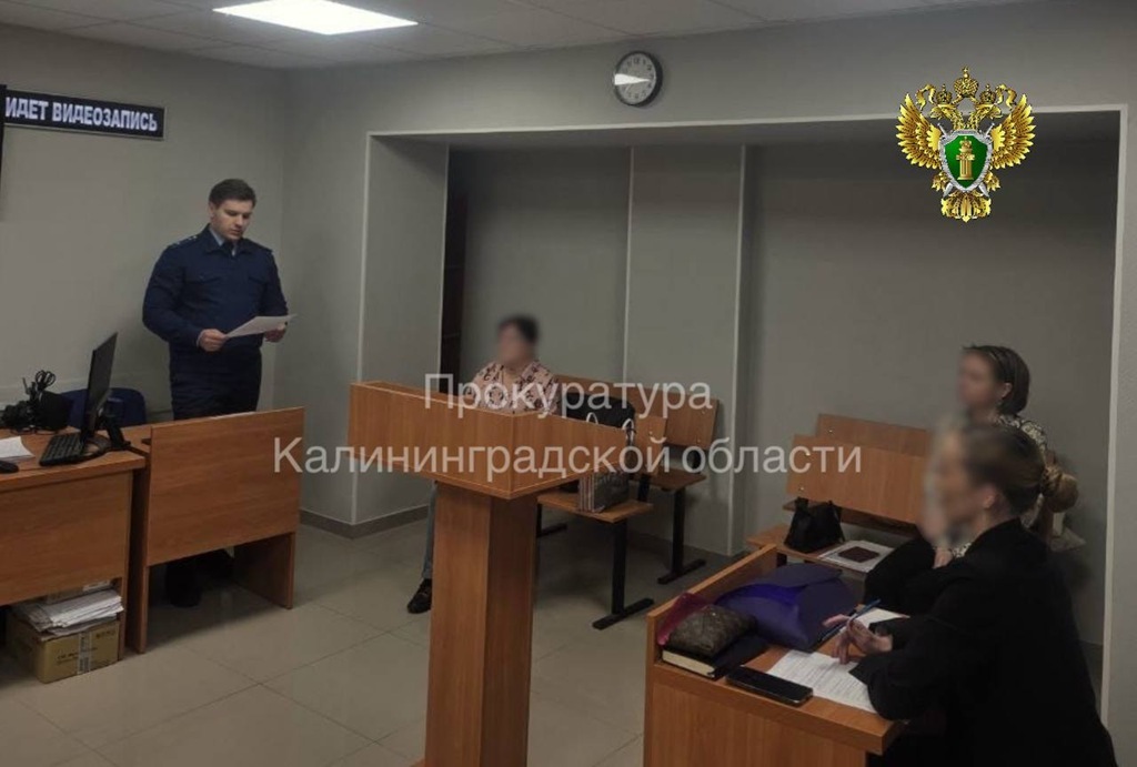 Калининградка получила год ограничения свободы за издевательства над свекровью