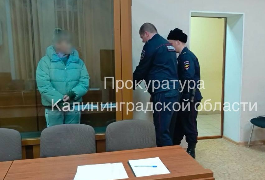 Калининградка арестована по делу об убийстве новорожденного Калининградка арестована по делу об убийстве новорожденного
