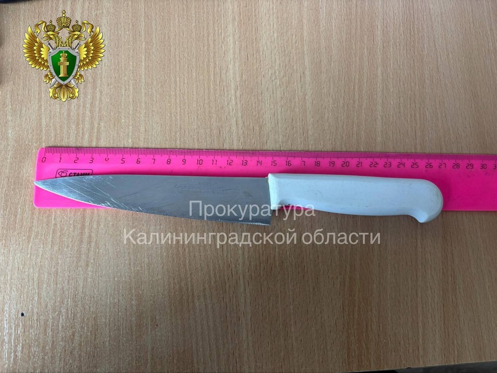 Прокуратура требует компенсацию за ножевое ранение ребенка в Гвардейском районе