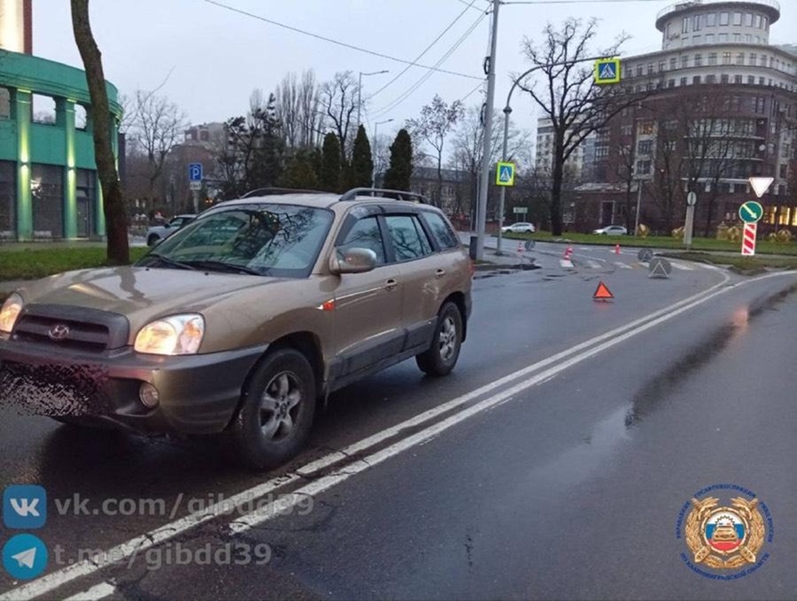 В Калининграде на улице Донского водитель сбил двух пешеходов на переходе В Калининграде на улице Донского водитель сбил двух пешеходов на переходе