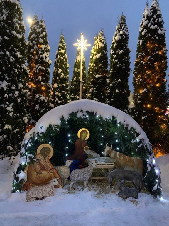 photo_2026-01-12_08-39-00