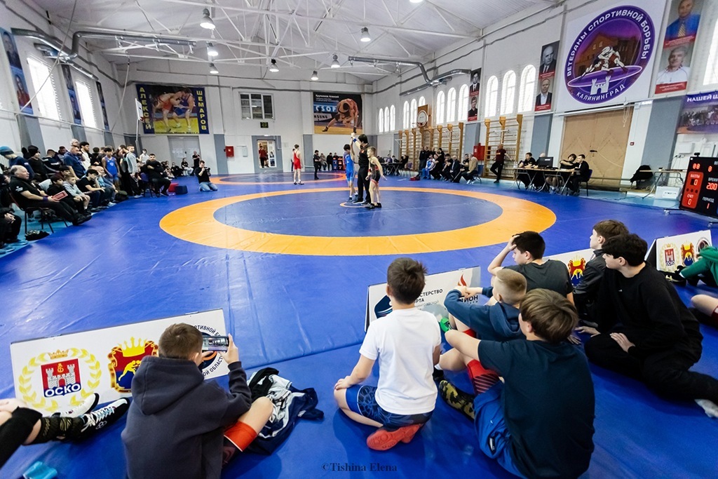 Юные калининградские борцы выиграли четыре золота на первенстве Северо-Запада