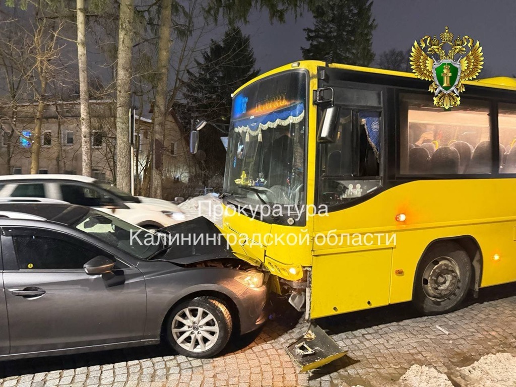 Прокуратура проверяет ДТП в Светлогорске, где пострадал ребёнок