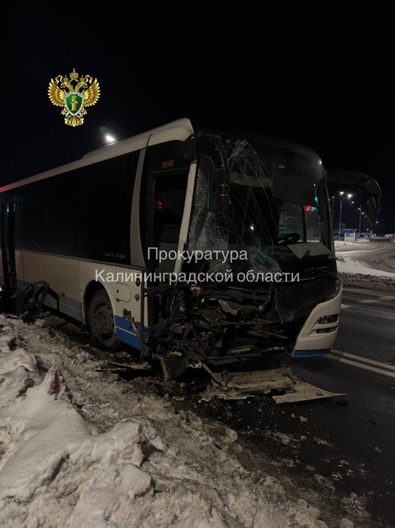 Пьяный бесправник против рейсового автобуса: прокуратура начала проверку перевозчика под Зеленоградском