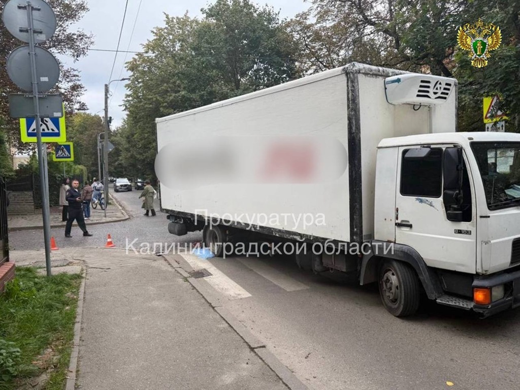 В суд поступило дело о смертельном наезде на 10-летнего ребёнка в Калининграде