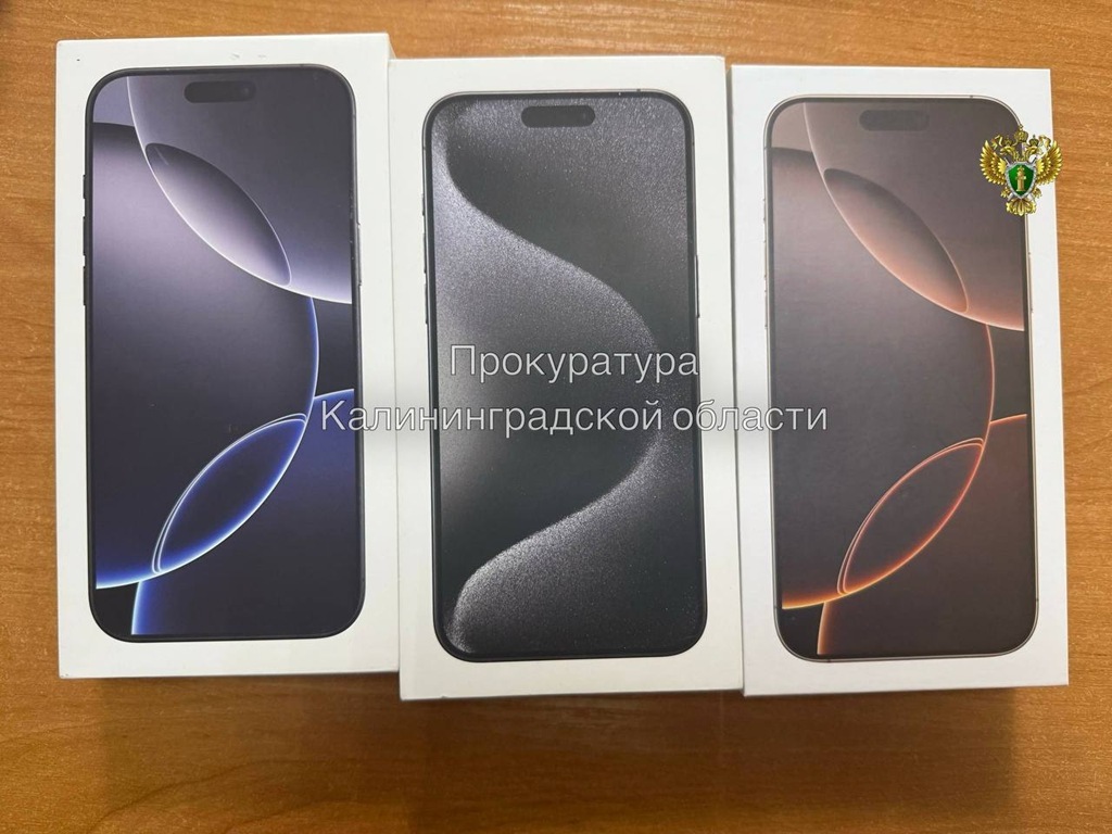 Смартфоны вместо муляжей: в Гурьевске будут судить серийного &laquo;подменщика&raquo; айфонов