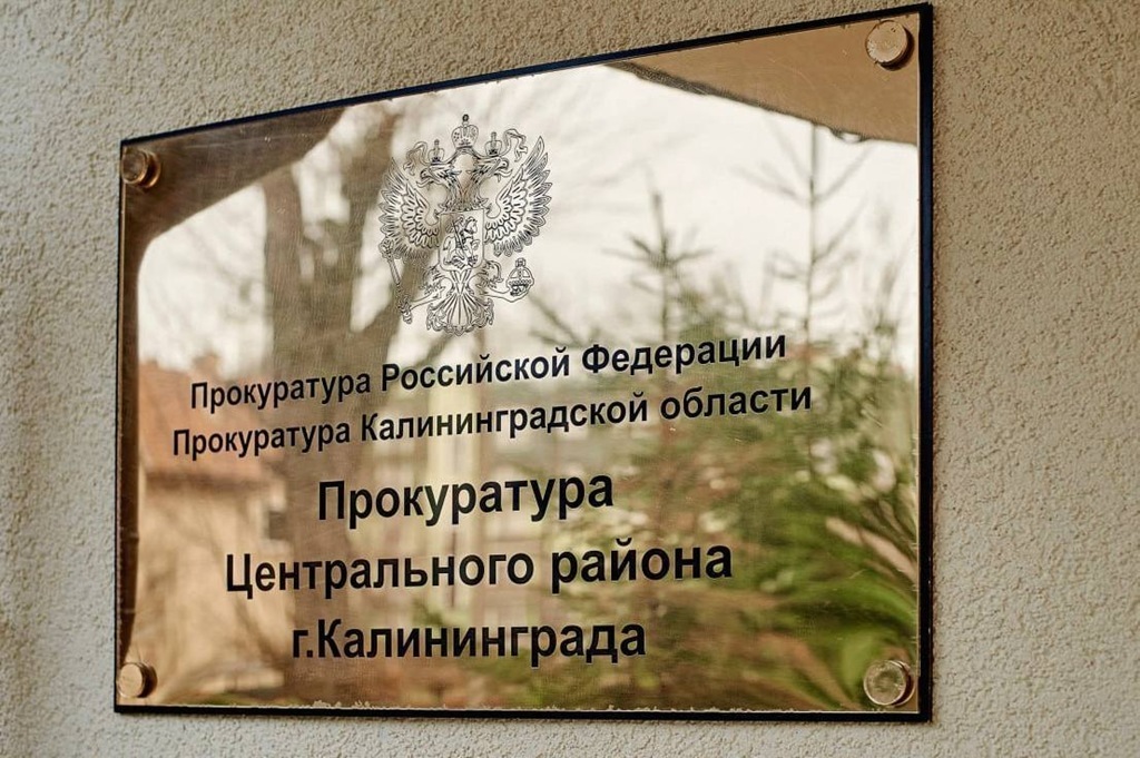 Калининградка ответит перед судом за угрозу убийством и нападение с ножом на соседа