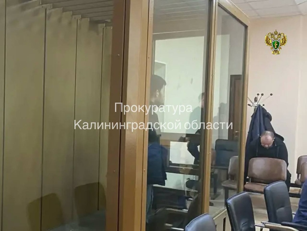 28-летний калининградец, участник межрегиональной ОПГ, отправлен в СИЗО по делу о мошенничестве