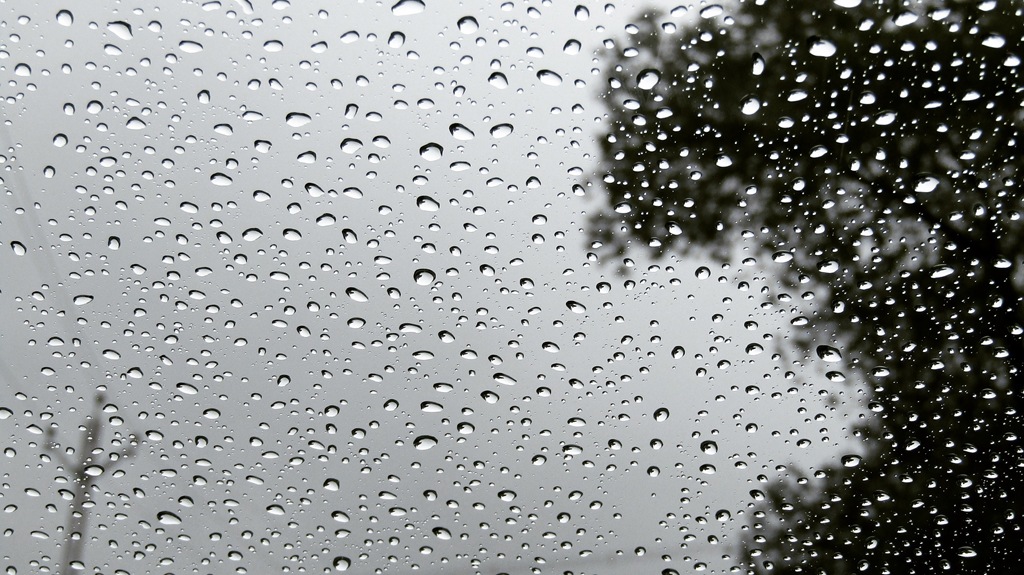 Фото: pixabay.com